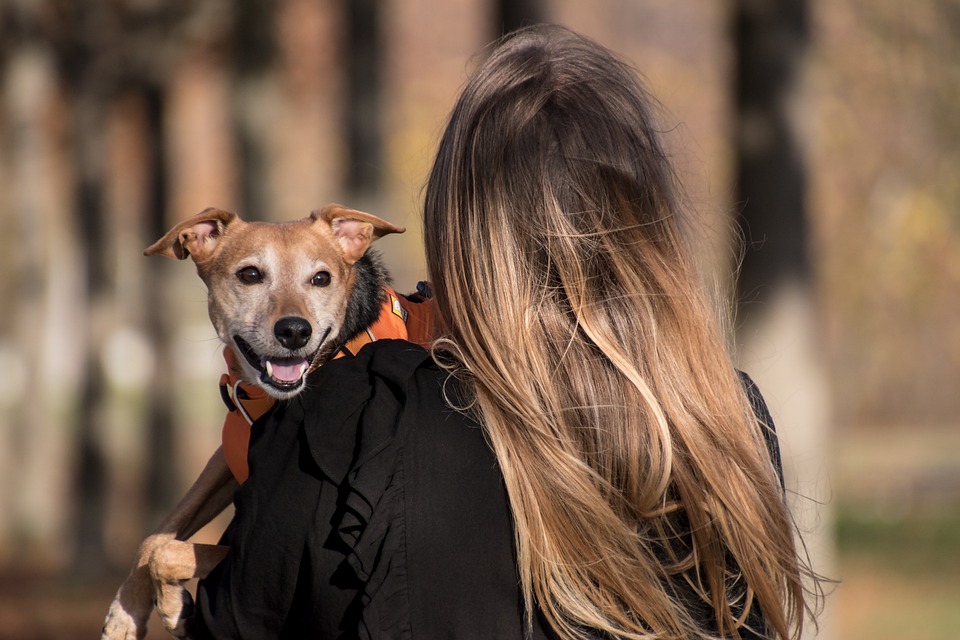 Creating a Safe and Enriching Environment for Your Pet: Tips for Pet-Proofing Your Home